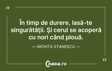 În timp de durere, lasă-te singurătă... În timp de durere, lasă-te singurătă...
