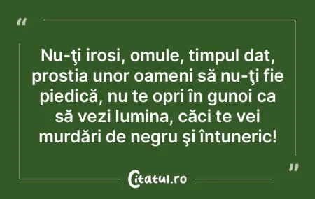 Nu-ţi irosi, omule, timpul dat, prostia... Nu-ţi irosi, omule, timpul dat, prostia...