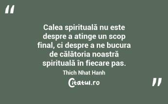 Calea spirituală nu este despre a atinge un scop final, ci despre a ne bucura de călătoria noastră spirituală în fiecare pas. Thich Nhat Hanh...