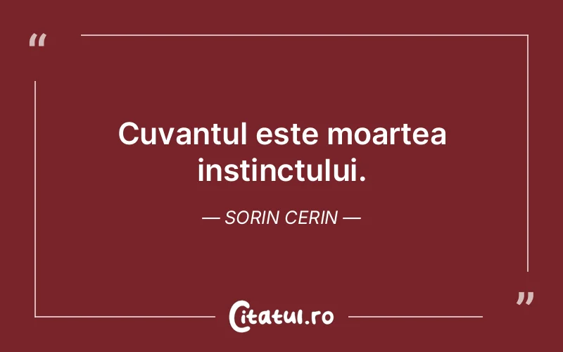 Citat Sorin Cerin - citate spiritualitate