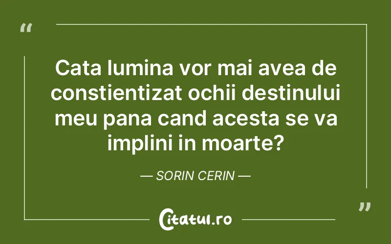 Cata lumina vor mai avea de constientizat ochii destinului meu pana cand acesta se va implini in moarte?	Sorin Cerin