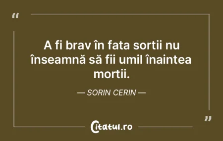 A fi brav în faÈ›a sorÈ›ii nu înseamnÄ... A fi brav în faÈ›a sorÈ›ii nu înseamnÄ...