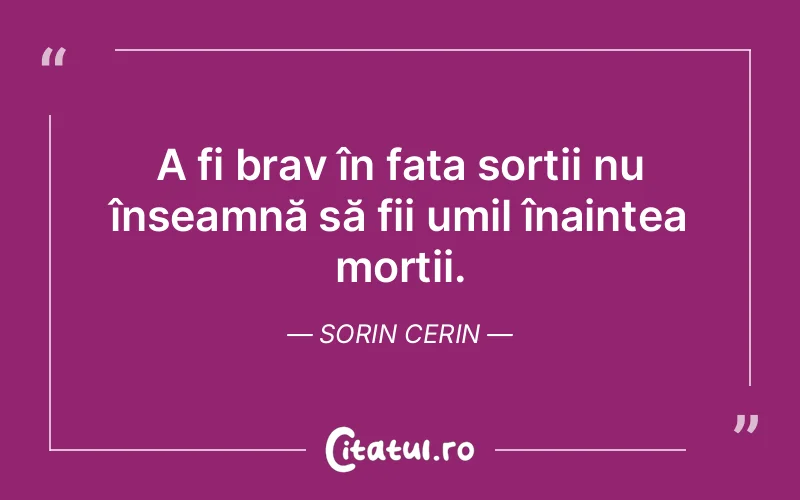 Citat Sorin Cerin - citate spiritualitate