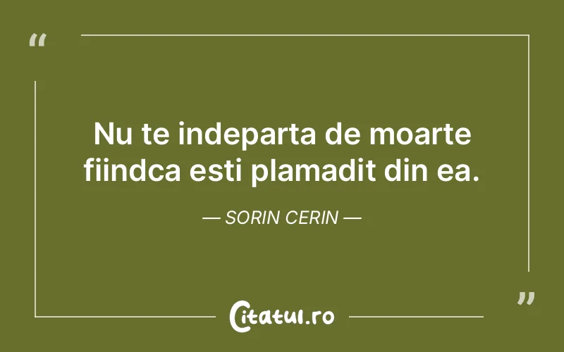 Citat Sorin Cerin - citate spiritualitate