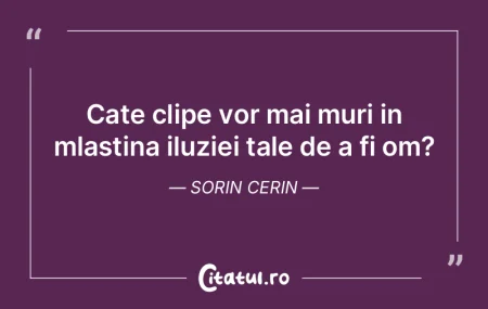 Cate clipe vor mai muri in mlastina iluz... Cate clipe vor mai muri in mlastina iluz...