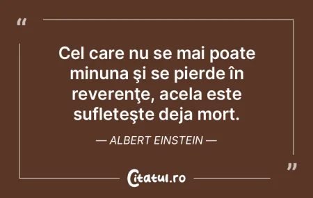 Cel care nu se mai poate minuna ÅŸi se p... Cel care nu se mai poate minuna ÅŸi se p...