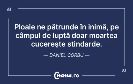 Ploaie ne pătrunde în inimă, pe câmp... Ploaie ne pătrunde în inimă, pe câmp...