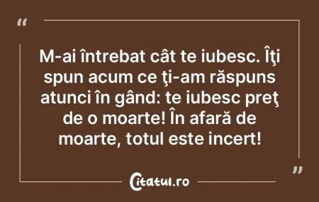 M-ai întrebat cât te iubesc. Îţi spu... M-ai întrebat cât te iubesc. Îţi spu...