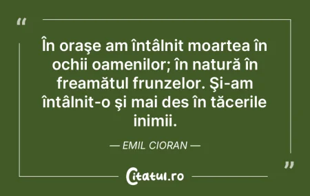 În oraşe am întâlnit moartea în och... În oraşe am întâlnit moartea în och...