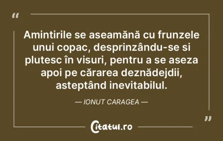 Amintirile se aseamănă cu frunzele unu... Amintirile se aseamănă cu frunzele unu...