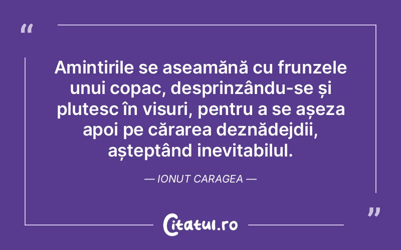 Citat Ionut Caragea - citate spiritualitate