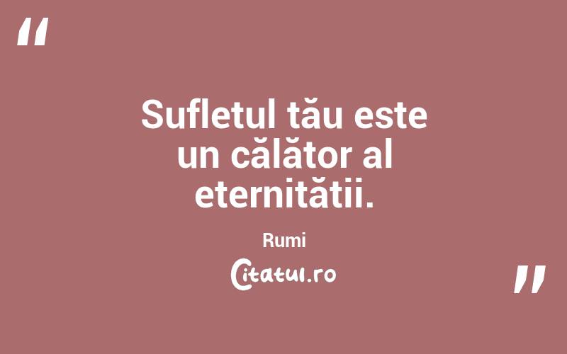 Sufletul tău este un călător al eternității. Rumi
