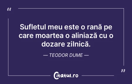 Sufletul meu este o rană pe care moarte... Sufletul meu este o rană pe care moarte...