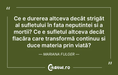 Ce e durerea altceva decât strigăt al ...