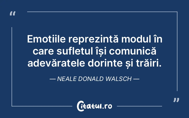 Citat Neale Donald Walsch - citate spiritualitate