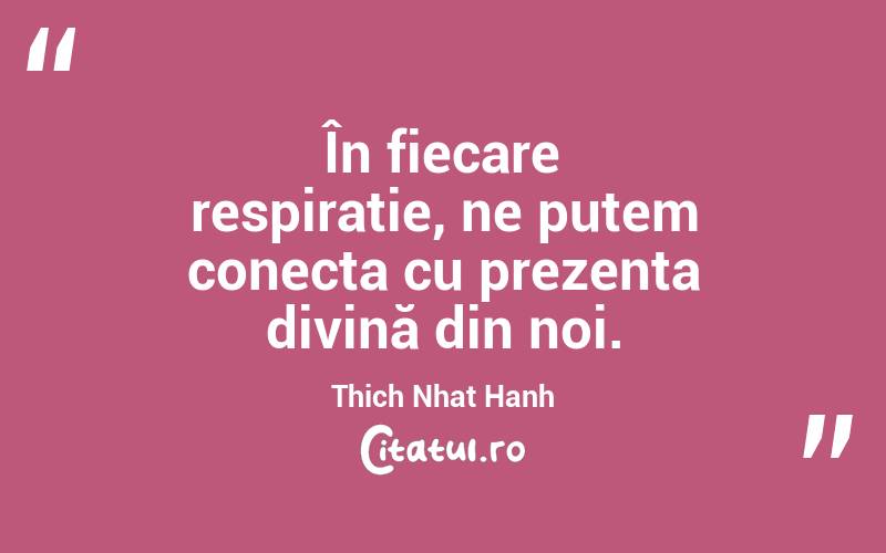 În fiecare respirație, ne putem conecta cu prezența divină din noi. Thich Nhat Hanh
