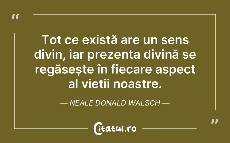 Citat Neale Donald Walsch - citate spiritualitate