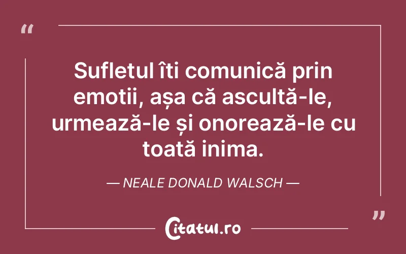 Citat Neale Donald Walsch - citate spiritualitate