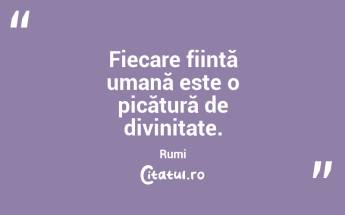 Fiecare ființă umană este o picătură de divinitate. Rumi...