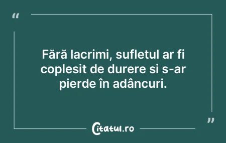 Fără lacrimi, sufletul ar fi copleșit... Fără lacrimi, sufletul ar fi copleșit...