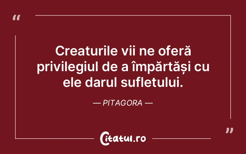 Citat Pitagora - citate spiritualitate