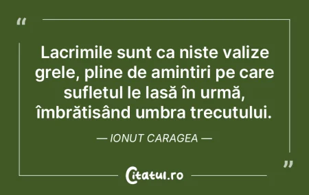 Lacrimile sunt ca niște valize grele, p... Lacrimile sunt ca niște valize grele, p...