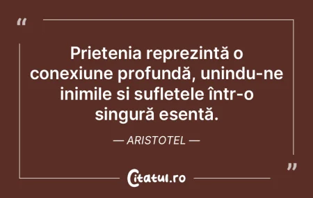 Prietenia reprezintă o conexiune profun...