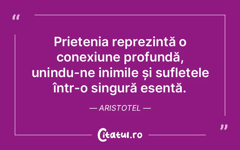 Citat Aristotel - citate spiritualitate