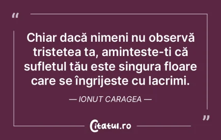 Chiar dacă nimeni nu observă tristețe... Chiar dacă nimeni nu observă tristețe...