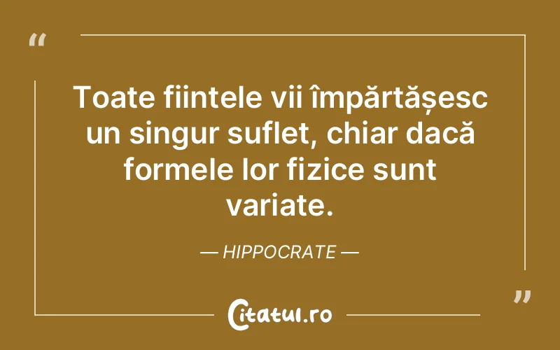 Citat Hippocrate - citate spiritualitate