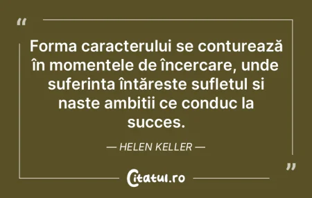 Forma caracterului se conturează în mo... Forma caracterului se conturează în mo...