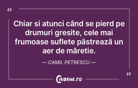 Chiar și atunci când se pierd pe drumu... Chiar și atunci când se pierd pe drumu...