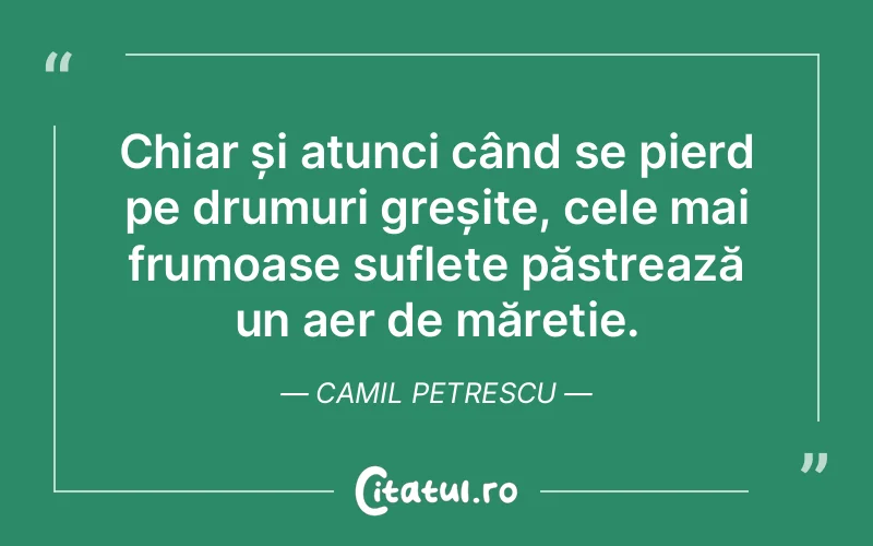 Citat Camil Petrescu - citate spiritualitate