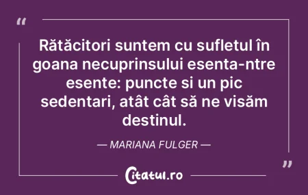 Rătăcitori suntem cu sufletul în goan... Rătăcitori suntem cu sufletul în goan...