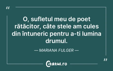 O, sufletul meu de poet rătăcitor, câ... O, sufletul meu de poet rătăcitor, câ...