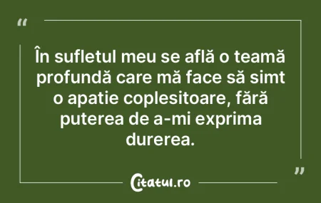 În sufletul meu se află o teamă profu... În sufletul meu se află o teamă profu...