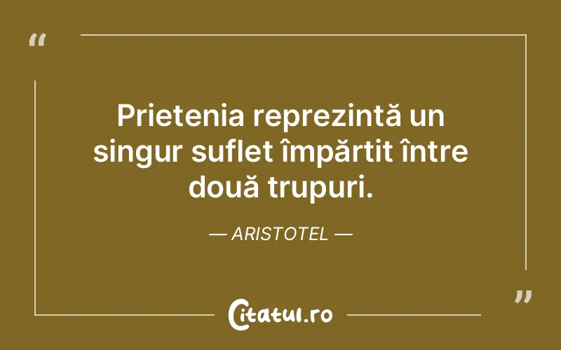 Citat Aristotel - citate spiritualitate