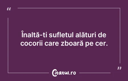 Înalță-ți sufletul alături de cocor... Înalță-ți sufletul alături de cocor...