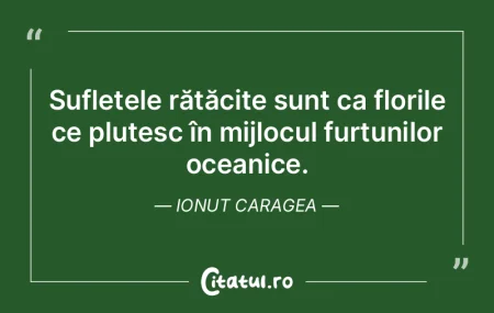 Sufletele rătăcite sunt ca florile ce ...