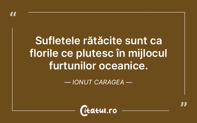 Citat Ionut Caragea - citate spiritualitate