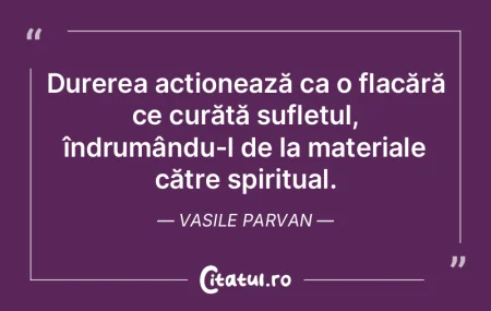 Durerea acționează ca o flacără ce c...