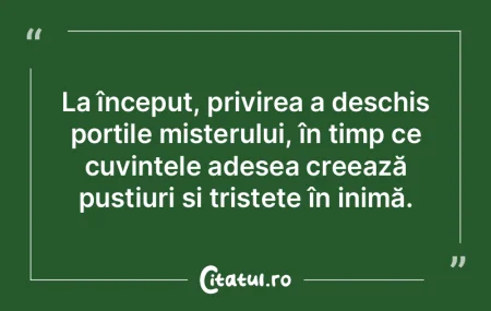 La început, privirea a deschis porțile... La început, privirea a deschis porțile...