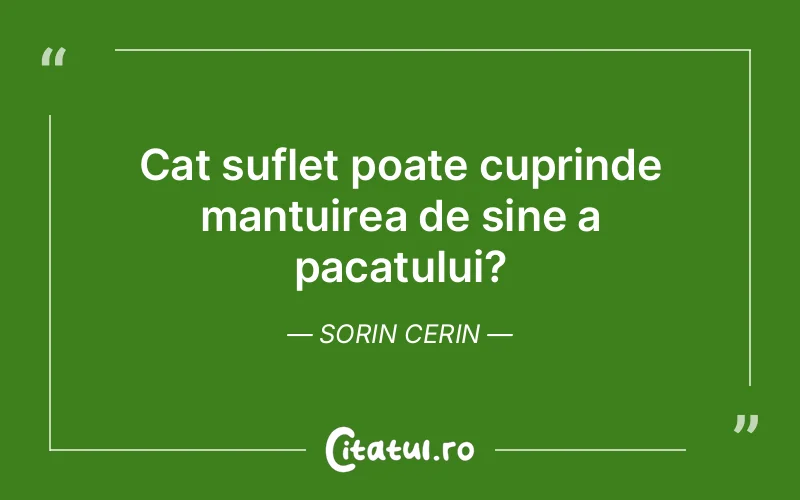 Citat Sorin Cerin - citate spiritualitate