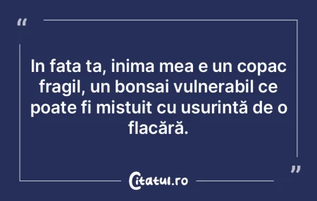 In fața ta, inima mea e un copac fragil... In fața ta, inima mea e un copac fragil...