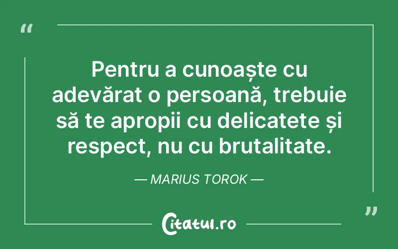 Citat Marius Torok - citate spiritualitate