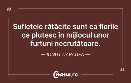 Sufletele rătăcite sunt ca florile ce ... Sufletele rătăcite sunt ca florile ce ...