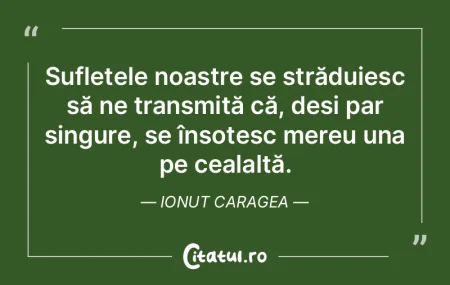 Sufletele noastre se străduiesc să ne ... Sufletele noastre se străduiesc să ne ...
