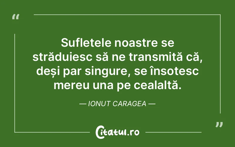 Citat Ionut Caragea - citate spiritualitate
