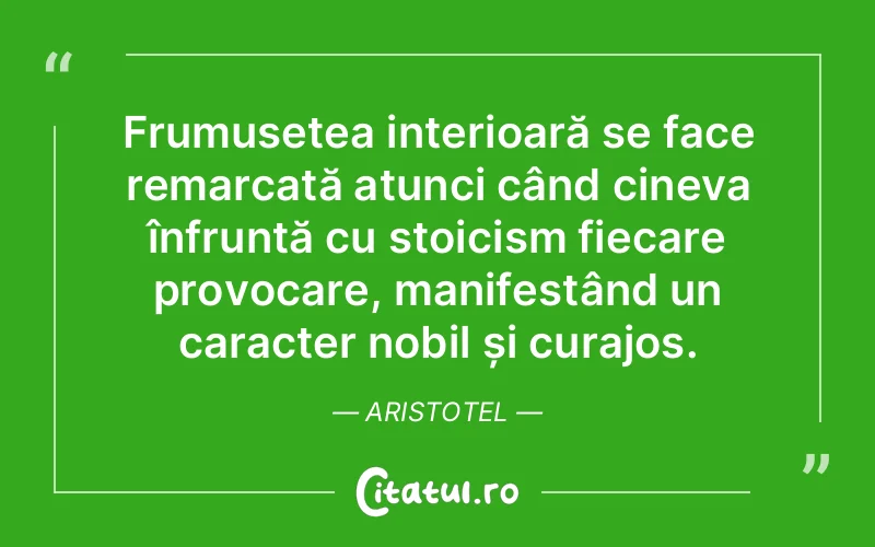 Citat Aristotel - citate spiritualitate