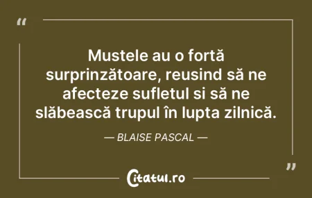 Muștele au o forță surprinzătoare, r... Muștele au o forță surprinzătoare, r...